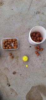 Karper voer, Ophalen of Verzenden, Gebruikt, Overige typen