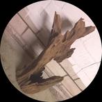 ½e PRIJS: ANTIEK XXL Driftwood / drijfhout / kienhout, Ophalen of Verzenden, Nieuw