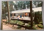 Camping de Paal, Bergeijk, Ophalen of Verzenden, Noord-Brabant