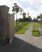 Kinderkoppen Dark Basalt Rion Vietnam 20x14x5-7cm, Tuin en Terras, Nieuw, Kei, Basalt, Antraciet