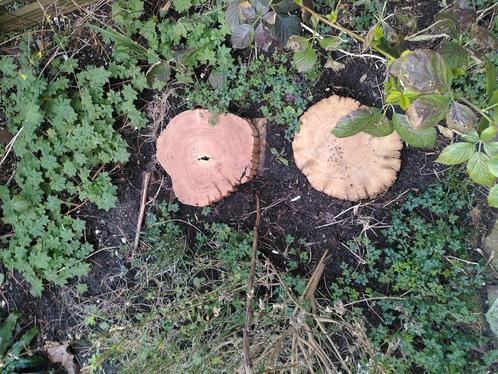 Oud sierhout, Tuin en Terras, Overige Tuin en Terras, Zo goed als nieuw, Ophalen