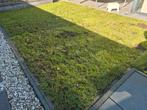 Gras, grasmat, gazon 3.5mx5m, Ophalen of Verzenden, Zo goed als nieuw, 20 m² of meer, Gras