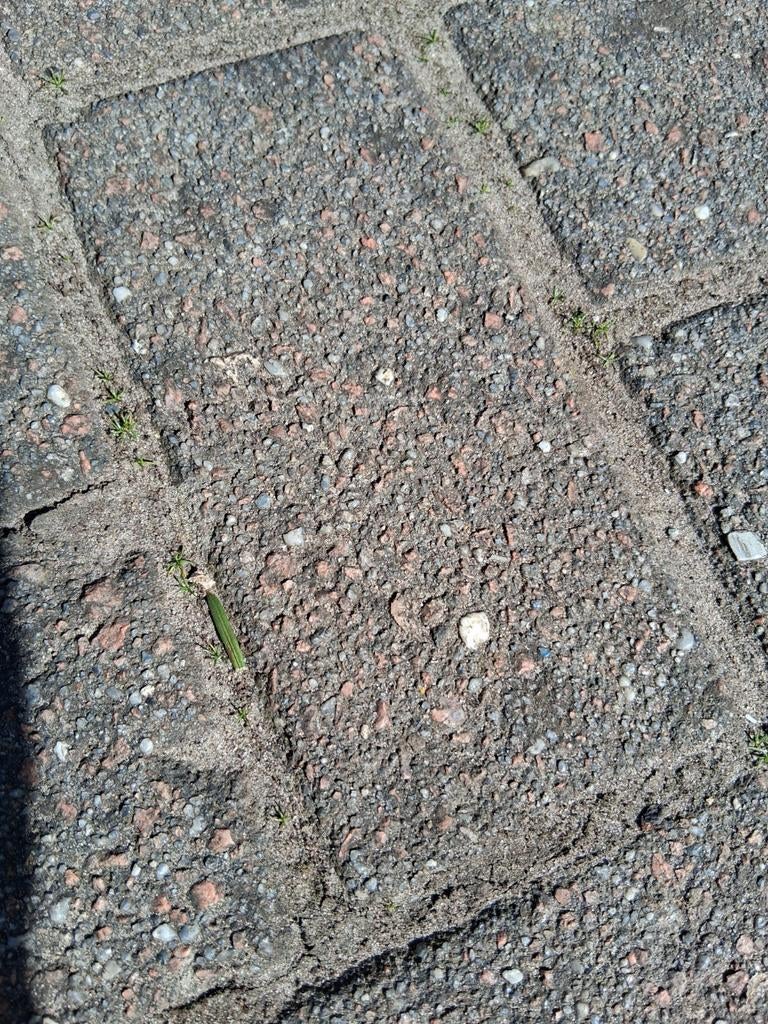 15 m² gebruikte nette betonklinkers, Gebruikt, Klinkers, Ophalen of Verzenden, 10 m² of meer