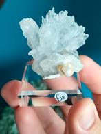 Flower amethist op sokkel, Ophalen of Verzenden