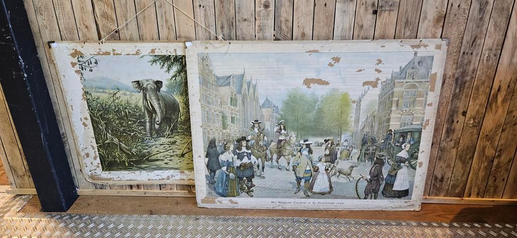 2 Oude Schoolplaten: Olifant & Haagsche Voorhout 17e eeuw, Ophalen, Natuur en Biologie