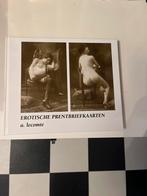 Erotische Prentbriefkaarten Catalogus, Boeken, Ophalen of Verzenden, Zo goed als nieuw, Catalogus