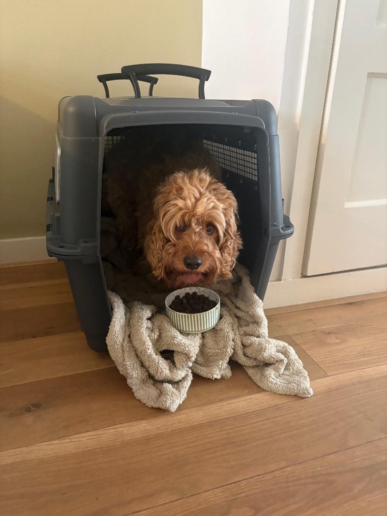 IATA Transport Box Bench MAAT L, Dieren en Toebehoren, Overige Dieren-accessoires, Ophalen, Zo goed als nieuw