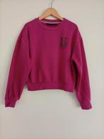 D-Zine (dunne) sweater roze maat 152/158, Gebruikt, Meisje, D-Zine, Trui of Vest