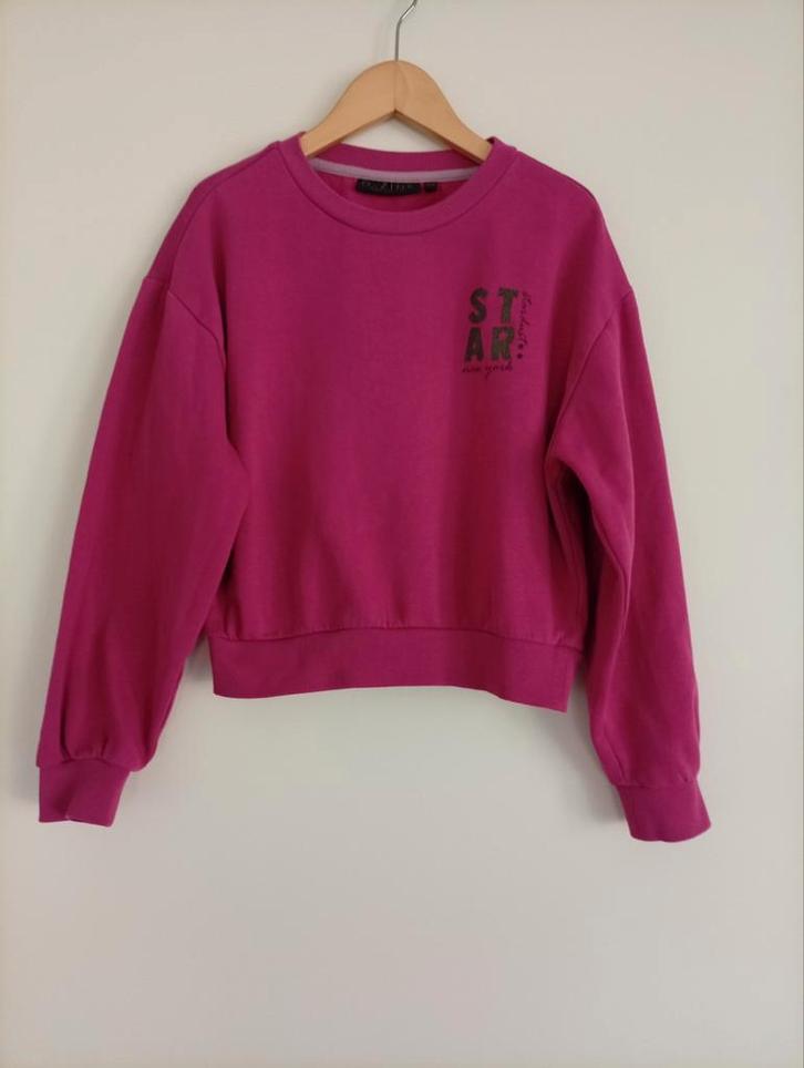 D-Zine (dunne) sweater roze maat 152/158, Kinderen en Baby's, Kinderkleding | Maat 152, Gebruikt, Meisje, Trui of Vest, Ophalen of Verzenden