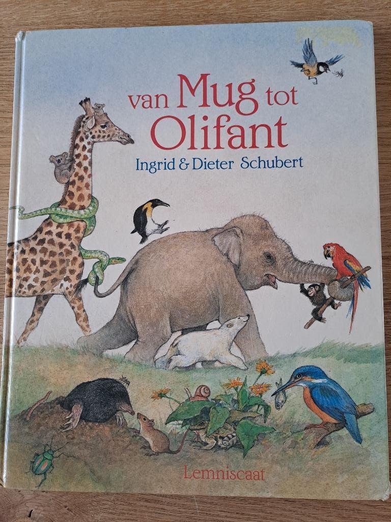 VAN MUG TOT OLIFANT. INGRID EN DIETER SCHUBERT., Boeken, Ophalen of Verzenden, Gelezen, Ingrid Schubert; Dieter Schubert, Prentenboek