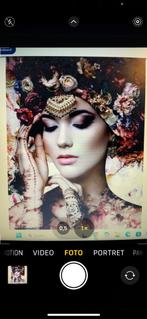 Glasschilderijen merk Ter Halle mooie kwaliteit, Ophalen of Verzenden, Nieuw, Schilderij, Minder dan 50 cm