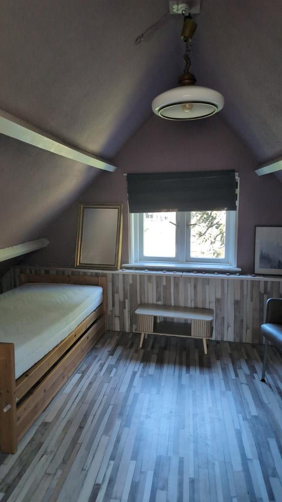 Kamer te huur, Huizen en Kamers