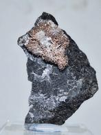 GEDEGEN ZILVER, KONGSBERG/NOORWEGEN, Ophalen of Verzenden, Mineraal