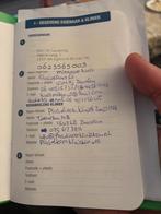 Kat kater, Kater, 3 tot 5 jaar