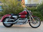 Unieke Harley Sportster Hugger 883, Particulier, Chopper