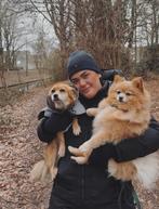 Liefdevolle en betrouwbare honden, katten oppas in Den Haag!, Ophalen