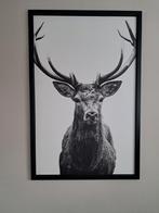 Groot IKEA schilderij met hert - Zwart-wit, Ophalen