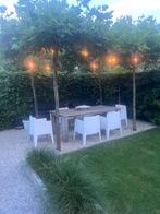 6 x Toy armchair van Philippe Starck voor Driade, Ophalen, Gebruikt, Kunststof, Stapelbaar