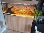 Juwel aquarium 240 liter., Dieren en Toebehoren, Ophalen, Leeg aquarium