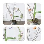 Decoratieve ring met kunstbloemen, bloembol en vogeltje, Ophalen, 100 tot 150 cm, Overige soorten, Halfschaduw