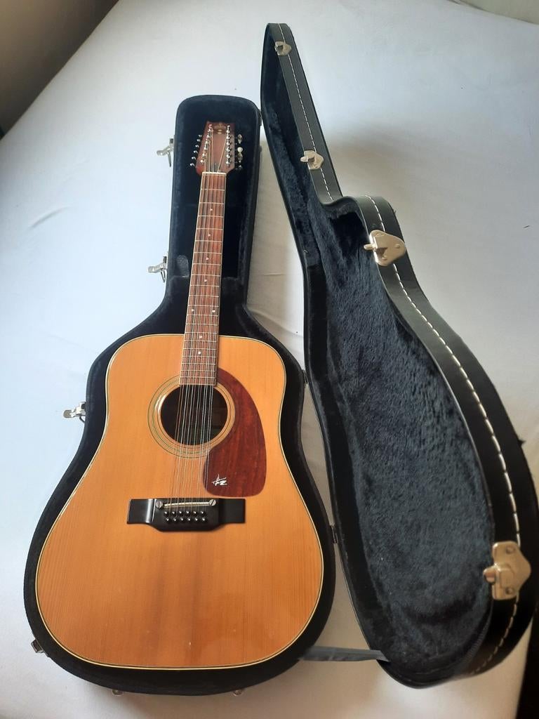 Takeharu 12-snarige western Japan 1976 Nwe snaren en koffer, Muziek en Instrumenten, Snaarinstrumenten | Gitaren | Akoestisch