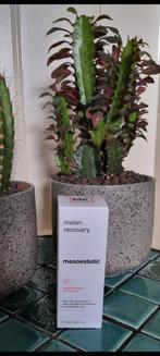 Mesoestetic Melan Recovery 50ml – Nieuw (Exp. 06/2029), Sieraden, Tassen en Uiterlijk, Uiterlijk | Gezichtsverzorging, Ophalen of Verzenden