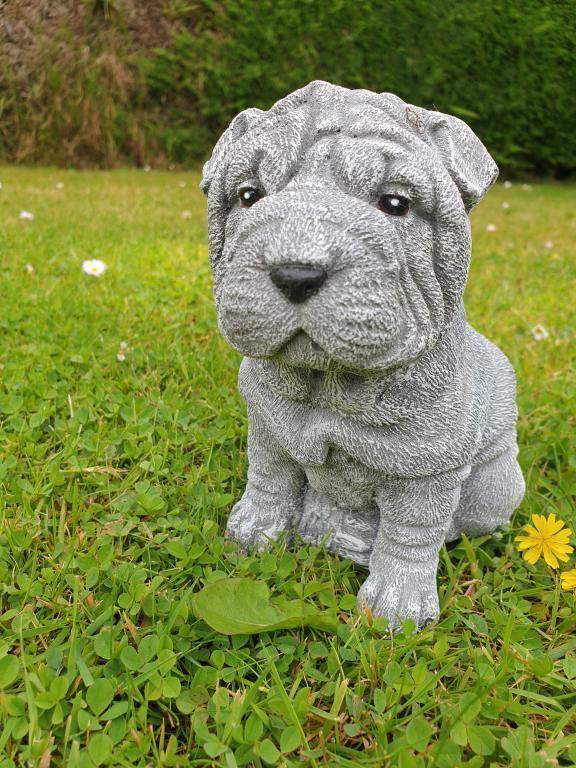 puppy , shar-pei , tuinbeeld, Tuin en Terras, Tuinbeelden, Nieuw, Ophalen of Verzenden