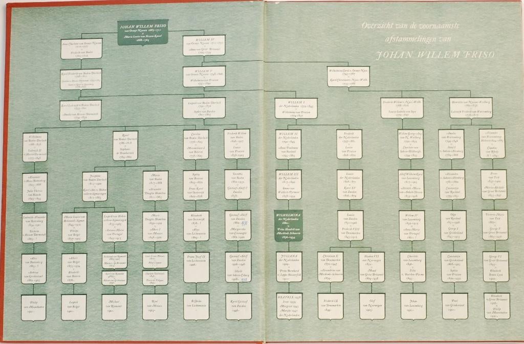 Wilhelmina - Een levensgeschiedenis in foto's (1948), Antiek en Kunst, Antiek | Boeken en Bijbels, Verzenden