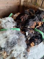 Schapen wol, Meerdere dieren, Overige soorten