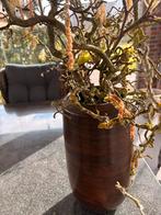 Paastakken kronkelhazelaar met vaas, Ophalen, Overige materialen, Overige kleuren, Zo goed als nieuw