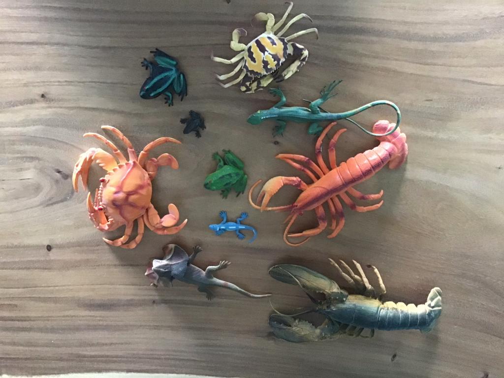Dierenfiguren: Krabben, Kreeften, Hagedissen & Kikkers, Ophalen of Verzenden, Zo goed als nieuw, Jongen of Meisje