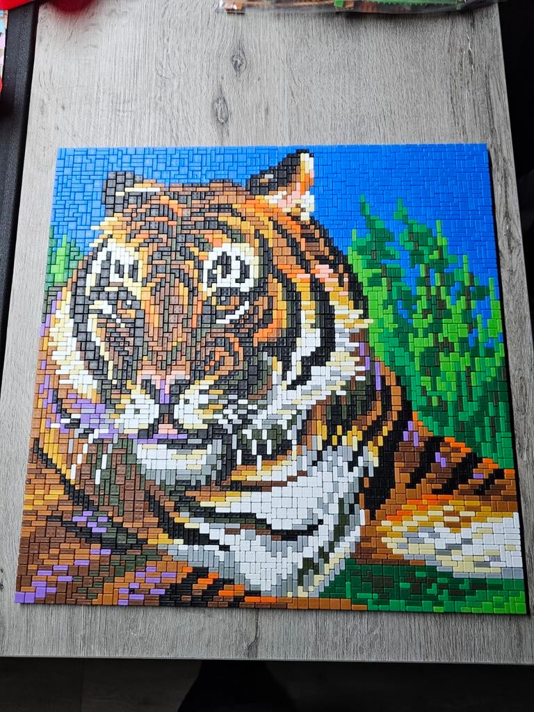 Ministeck tijger 40x40 cm, Ophalen of Verzenden