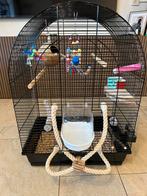 Leuke vogel kooi, Ophalen of Verzenden, Gebruikt, Metaal, Vogelkooi