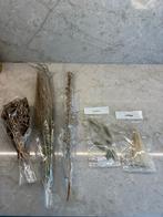 Diverse gedroogde bloemen en grassen - decoratie, Huis en Inrichting, Ophalen of Verzenden, Nieuw