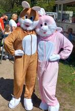 Paashaaspak, Ophalen of Verzenden, Nieuw