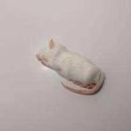 Diepvries muizen en ratten bij csreptiles venlo, Dieren en Toebehoren, Ophalen of Verzenden, Nieuw, Overige typen