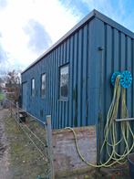 Stalling met weidegang, Weidegang, 2 of 3 paarden of pony's