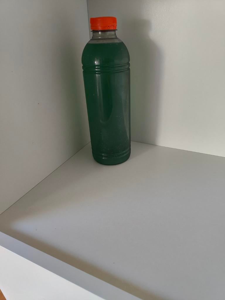 Synechococcus plankton tegen cyano (rode flap), Dieren en Toebehoren, Vissen | Aquaria en Toebehoren, Ophalen, Nieuw, Plant(en), Steen of Hout