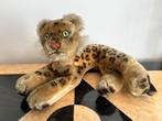 Liggend luipaardje van Steiff, Ophalen of Verzenden