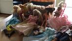 Barbiepoppen, Kinderen en Baby's, Ophalen of Verzenden, Gebruikt, Babypop
