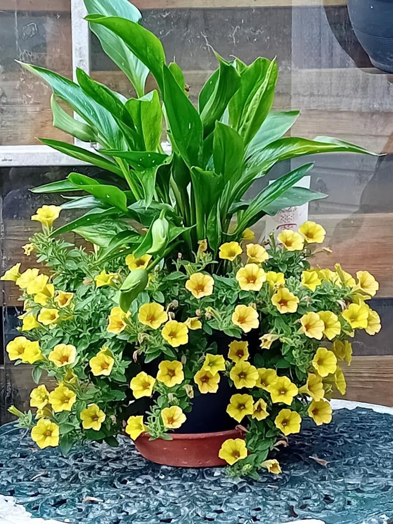 Tuintafel. Inc 2 stapelbare stoelen, Ophalen, Overige soorten, Volle zon