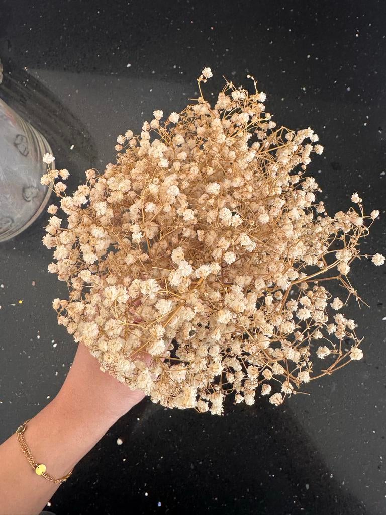 Gedroogde Gipskruid Boeket - Decoratieve Droogbloemen, Huis en Inrichting, Woonaccessoires | Droogbloemen, Ophalen of Verzenden