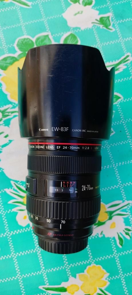 Canon EF 24-70MM 2.8 L USM, Audio, Tv en Foto, Fotografie | Lenzen en Objectieven, Ophalen of Verzenden, Gebruikt, Standaardlens