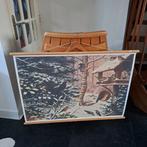 Schoolplaat winter vogels, Ophalen of Verzenden, Natuur en Biologie