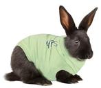 medical pet shirt (rompertje) - konijn / rabbit maat XS, Dieren en Toebehoren, Ophalen of Verzenden, Zo goed als nieuw, Overige typen