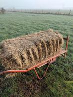 Kleine pakken hooi (20 kilo) voor paarden en pony's, Dieren en Toebehoren, Ophalen, Vee