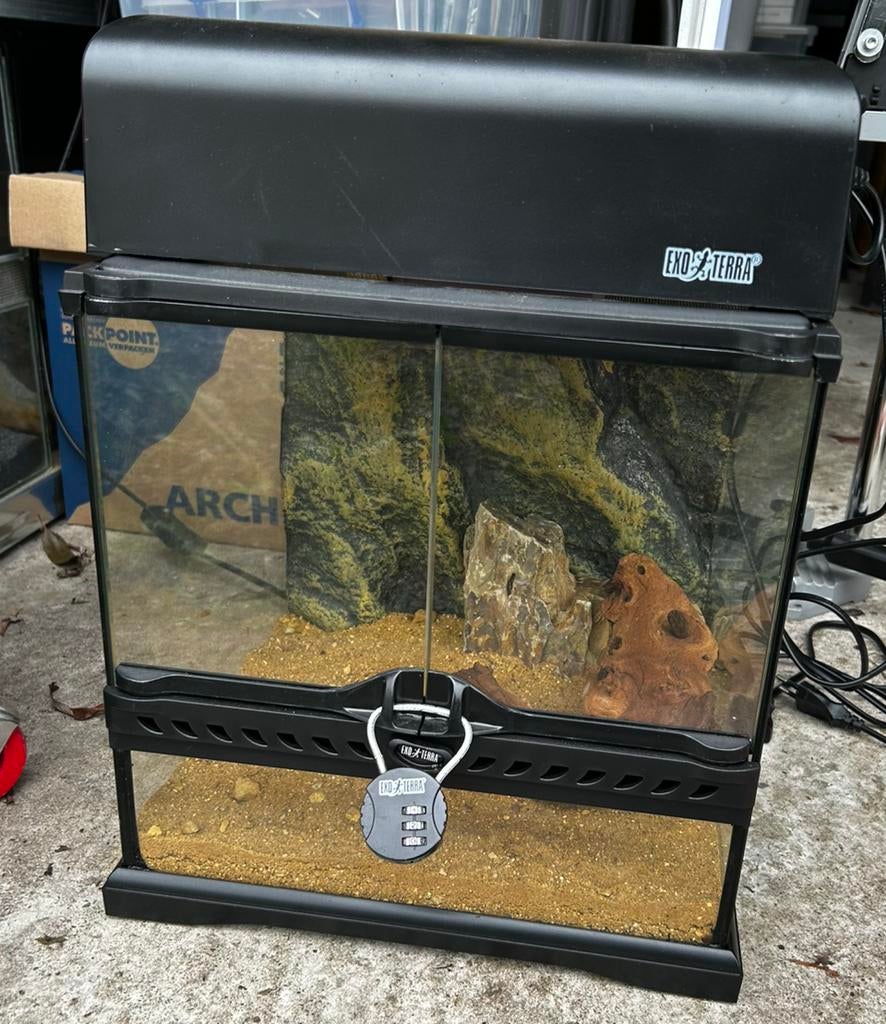 ExoTerra 30x30x30 met twee lampen kappen, Ophalen, Nieuw, Terrarium of Paludarium