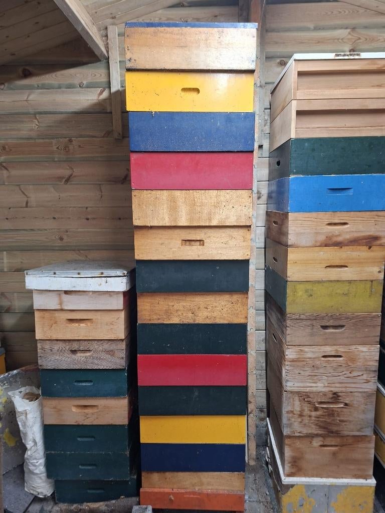 14 honingkamers Dadant US maat, Bijen