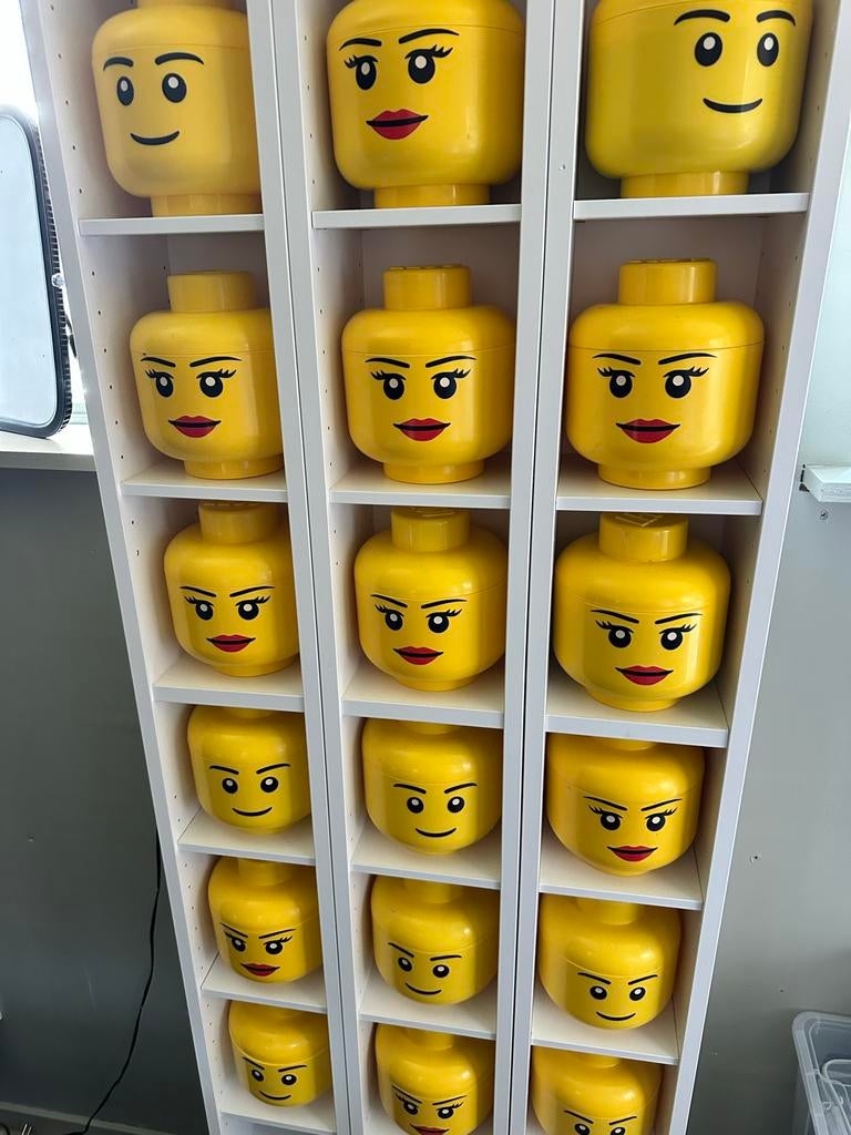 Lego opslag bak (mannelijk / vrouwelijk), Kinderen en Baby's, Speelgoed | Duplo en Lego, Overige thema's, Lego, Accessoire, Ophalen of Verzenden