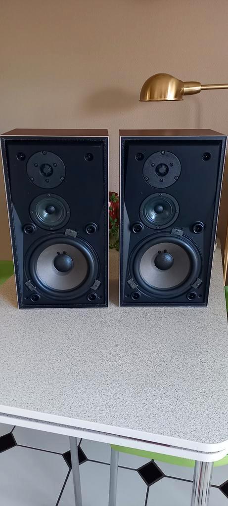 B&o beovox s45.2 luidsprekers met aansluitfiche  vintage., Audio, Tv en Foto, Luidsprekers, Gebruikt, Front, Rear of Stereo speakers
